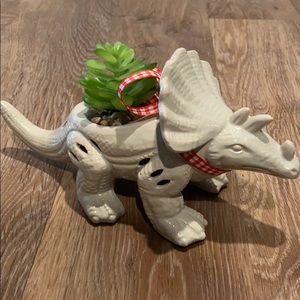 Dino Succulent Planter